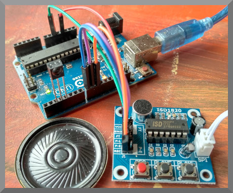 raw timing detector demo